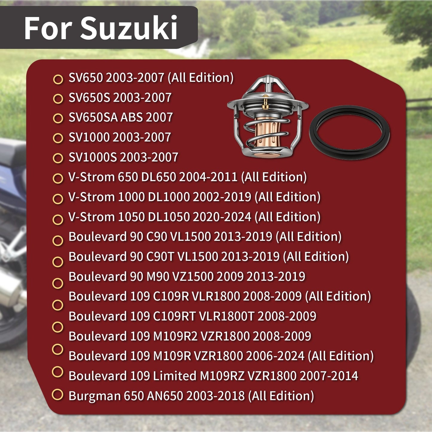 Thermostat & O-Ring for Suzuki Boulevard M109R VZR1800 (2006–2024)