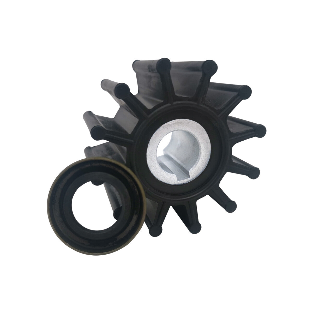 Major Repair Kit for Sherwood Pump 10615 (P102 P105 P109 P110)