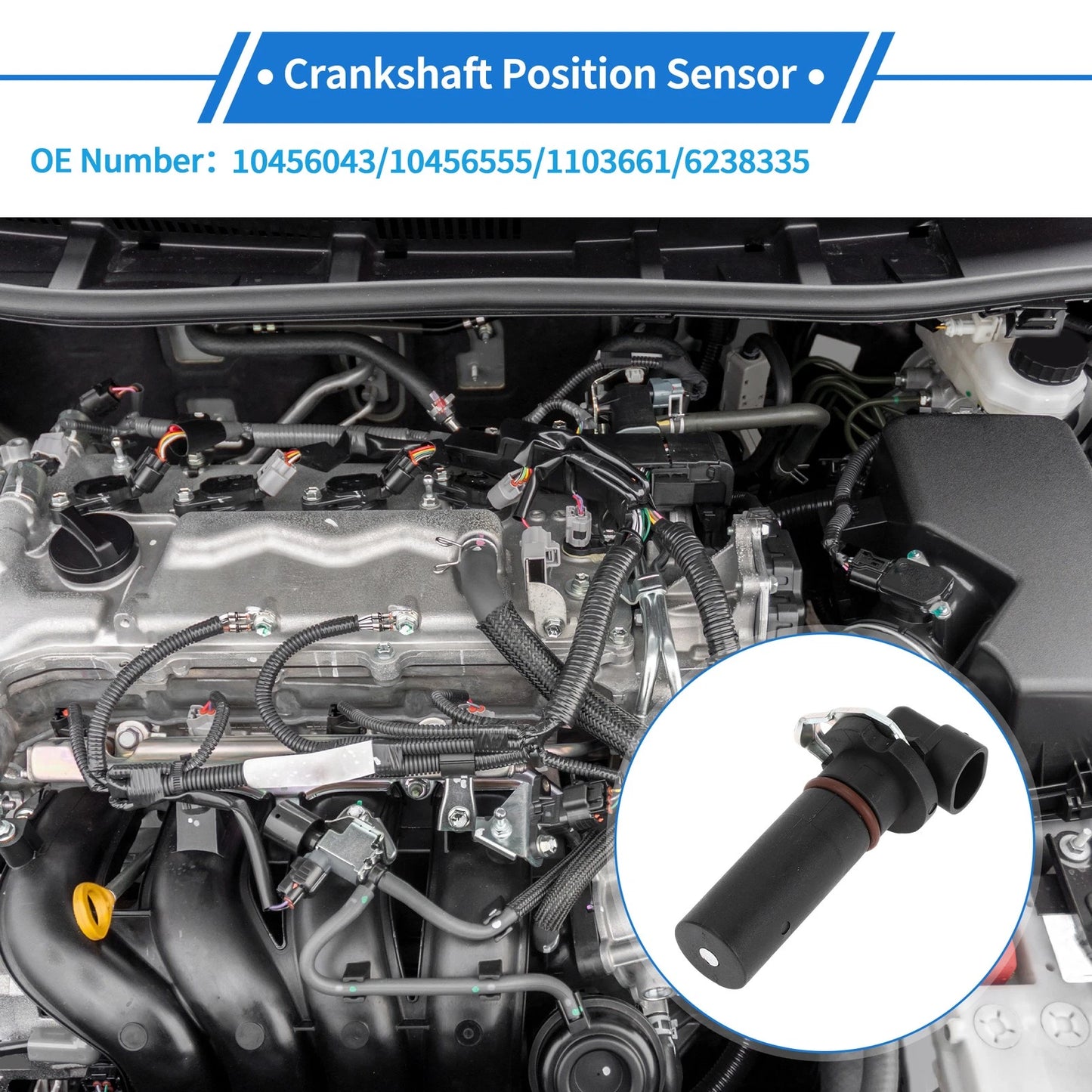 Crankshaft Position Sensor for Chevrolet Impala (2000–2005) No. 10456043