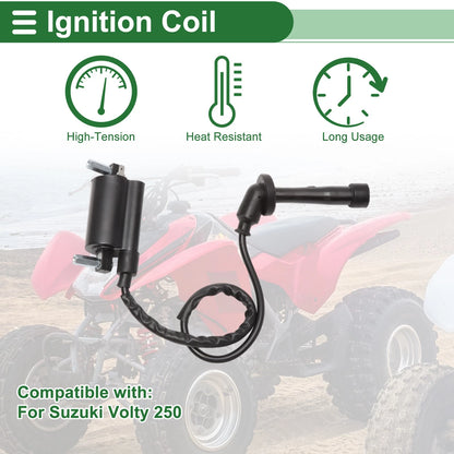 Ignition Coil for Suzuki Volty 250 (1995–2000)