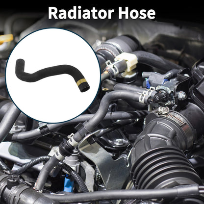 Lower Radiator Hose for Toyota Levin (2017) No. 16572-0Y210