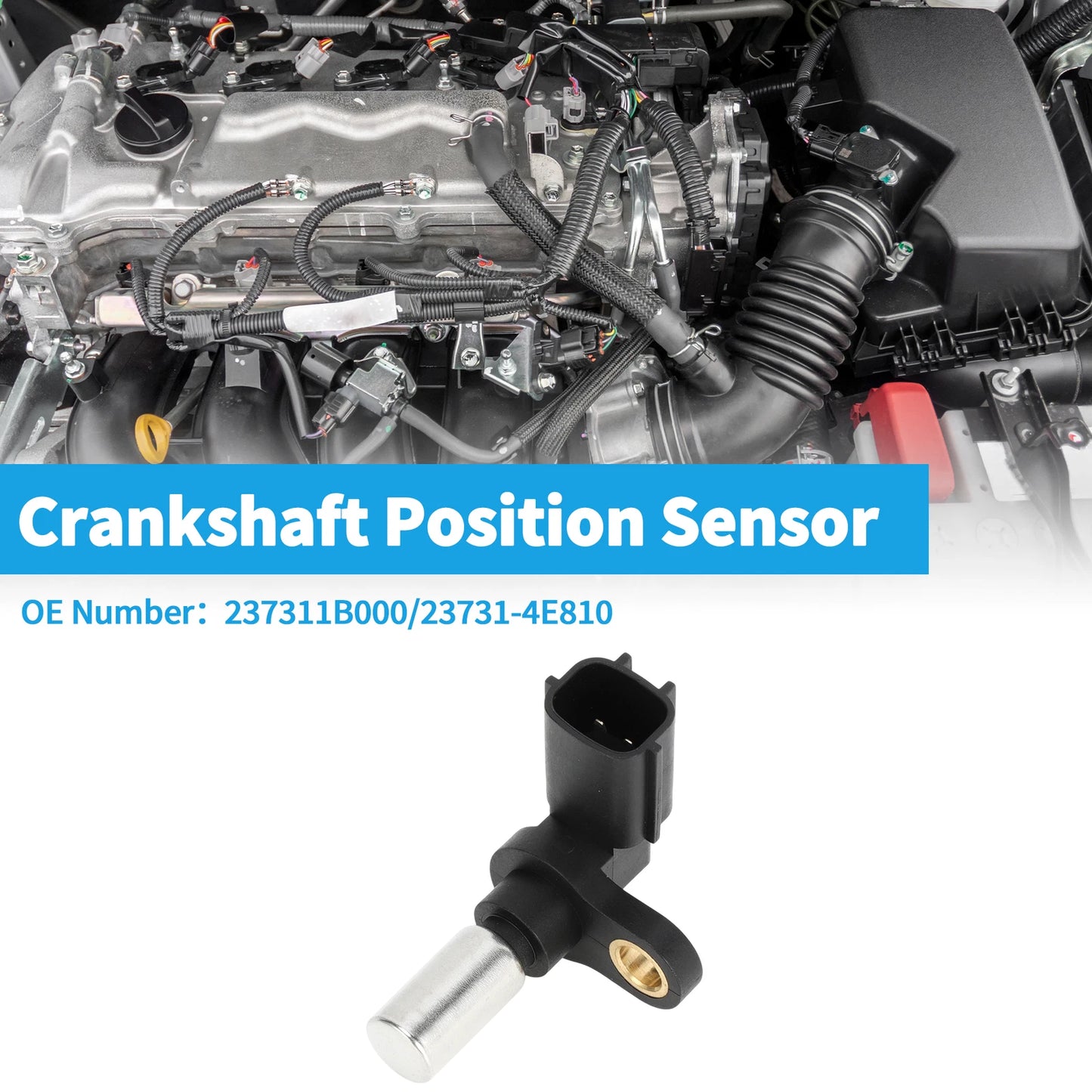 Crankshaft Position Sensor for Nissan Altima 2.4 (1993–1997) No. 23731-1B000