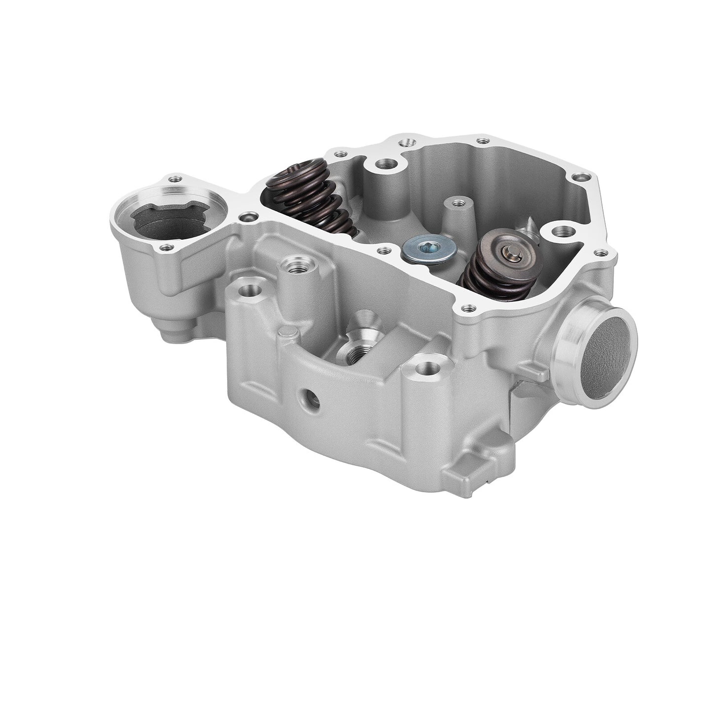 Cylinder Head Valves Kit for Honda Pioneer 500 (2015–2023)