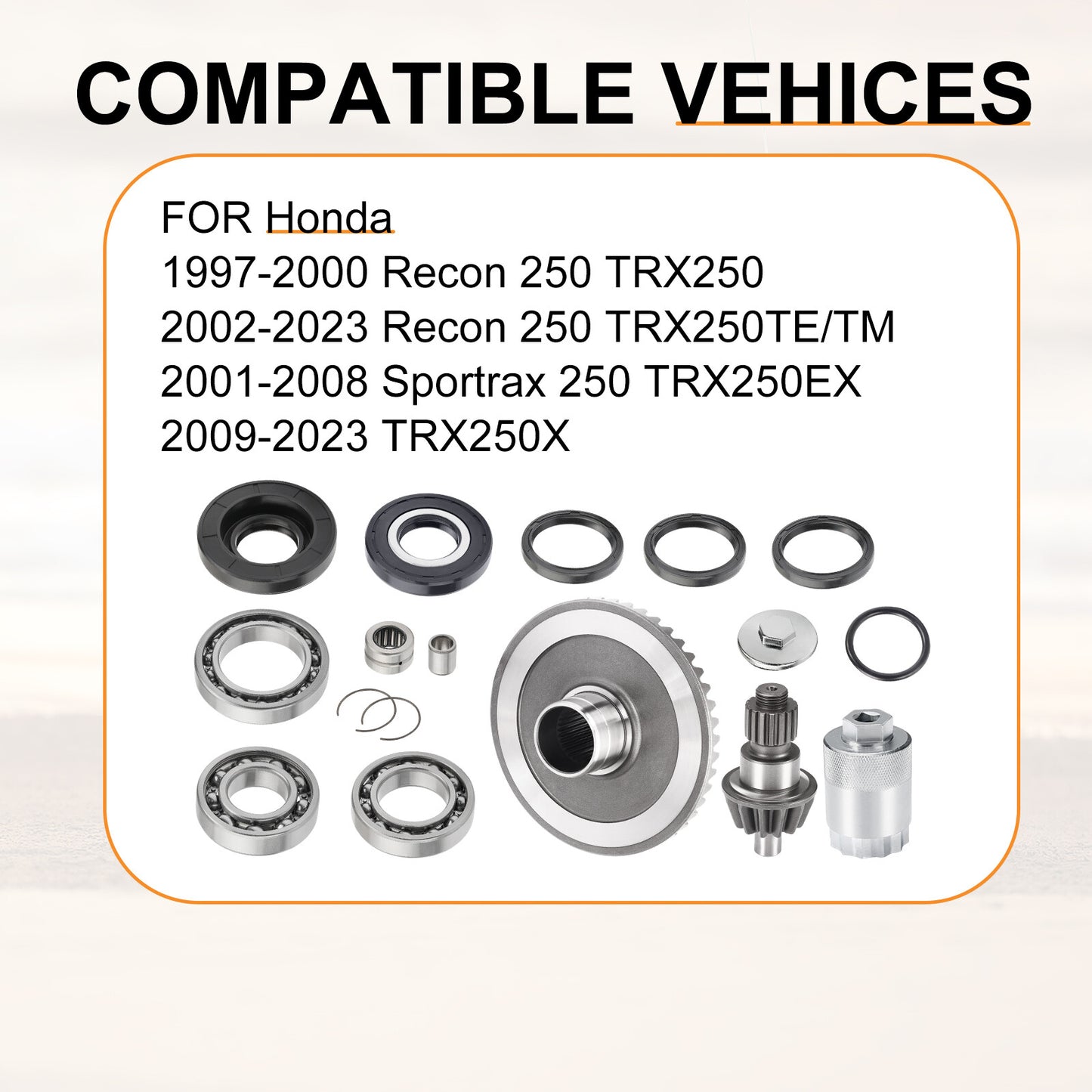 Rear Differential Ring Pinion Gear Bearings for Honda Recon 250 (2002–2014)