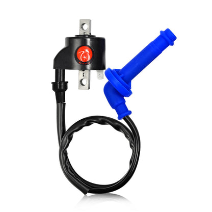 Ignition Coil & Spark Plug for Polaris ATV Predator 500 (2003–2007)