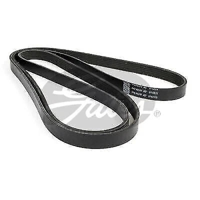 Drive Belt for Gates 6PK2515 (Fan Belt) (2015–2023)