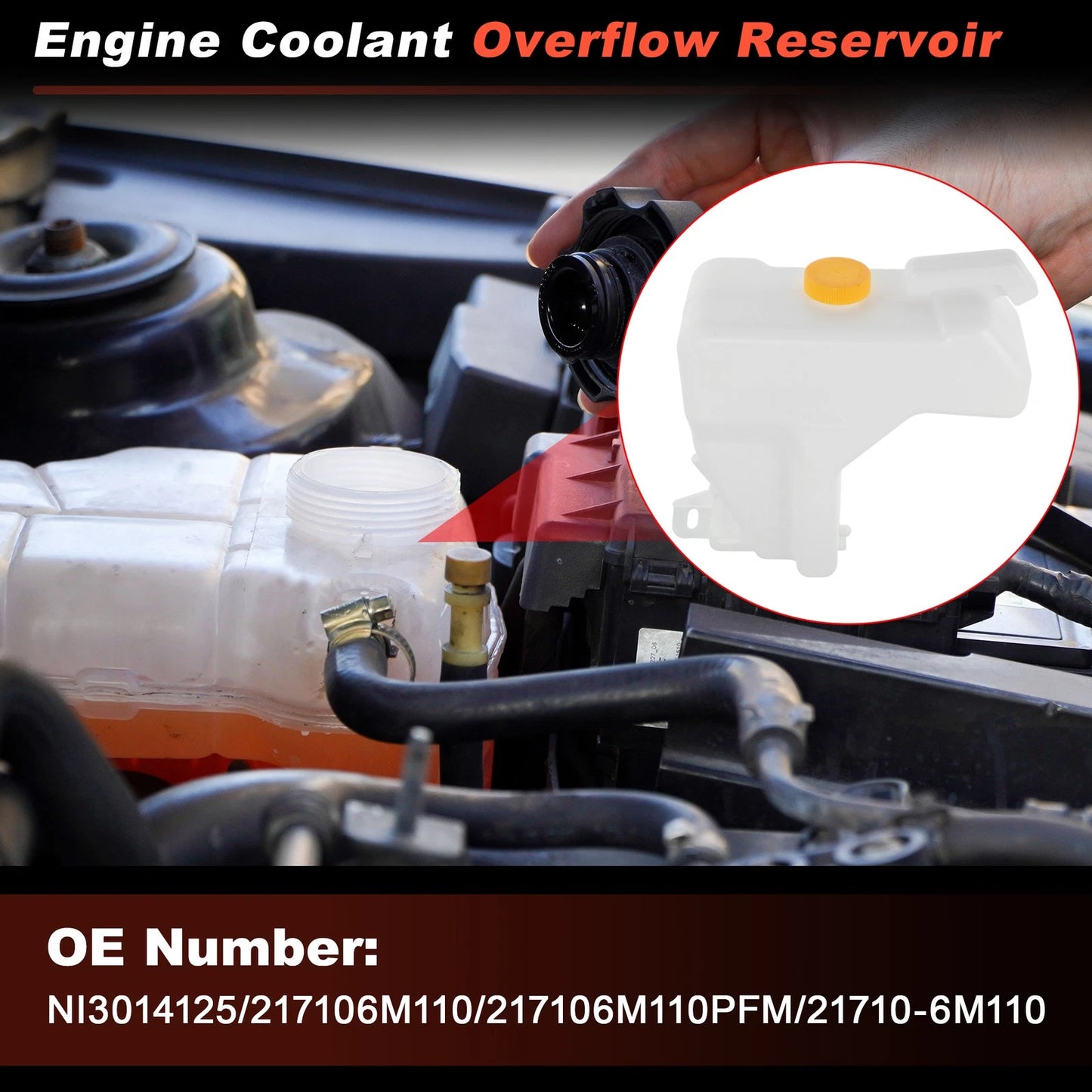 Coolant Expansion Reservoir Tank w/Cap for Nissan Sentra (2003–2006) NI3014125