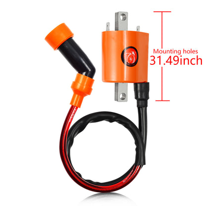 2X Ignition Coil & Spark Plug for Suzuki Intruder VS1400 VL1500 (1987–2009)