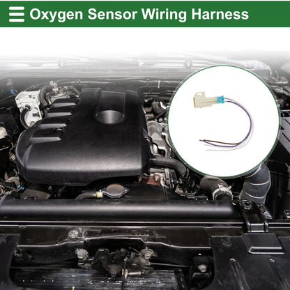 4 Pin Sensor Wiring Harnesses for Chevrolet Corvette (1997)