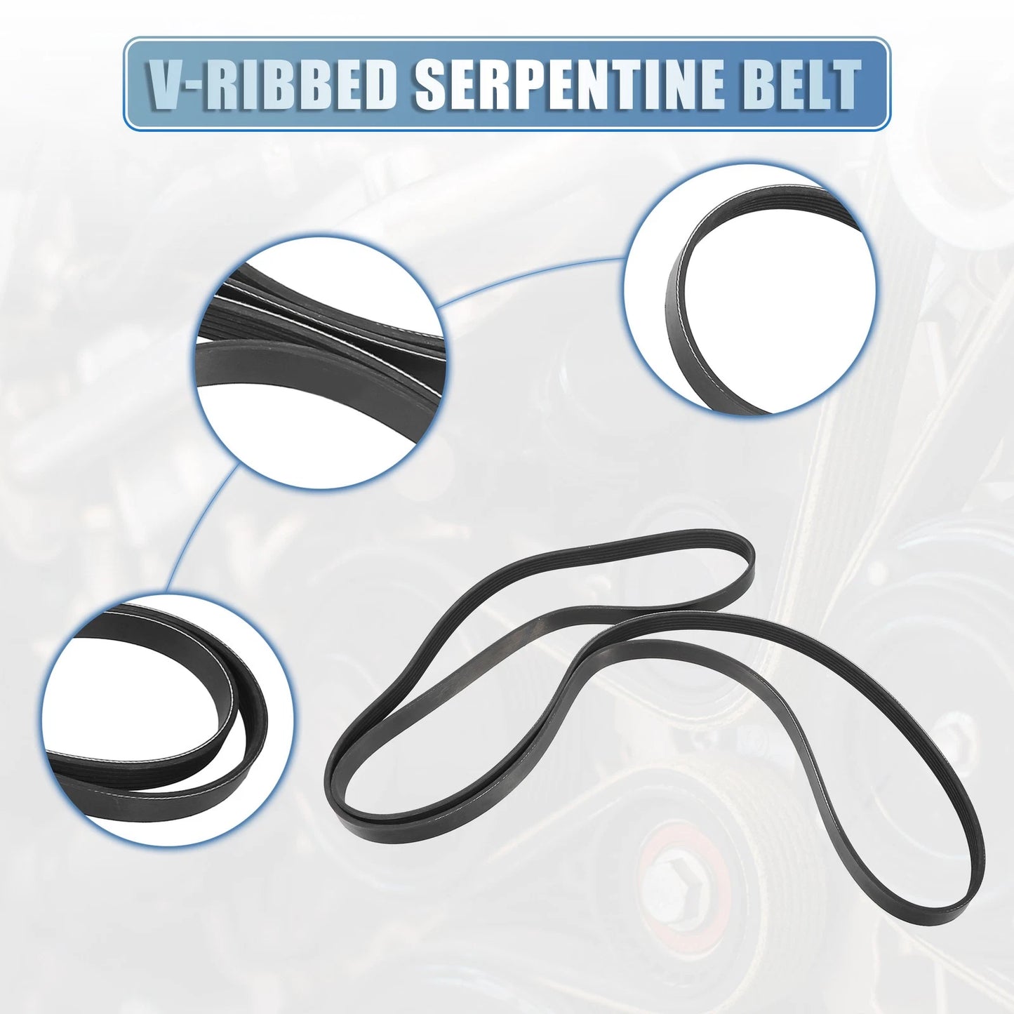 V-Ribbed Serpentine Drive Belt for Jaguar X-Type (2002–2008) No. 4861322