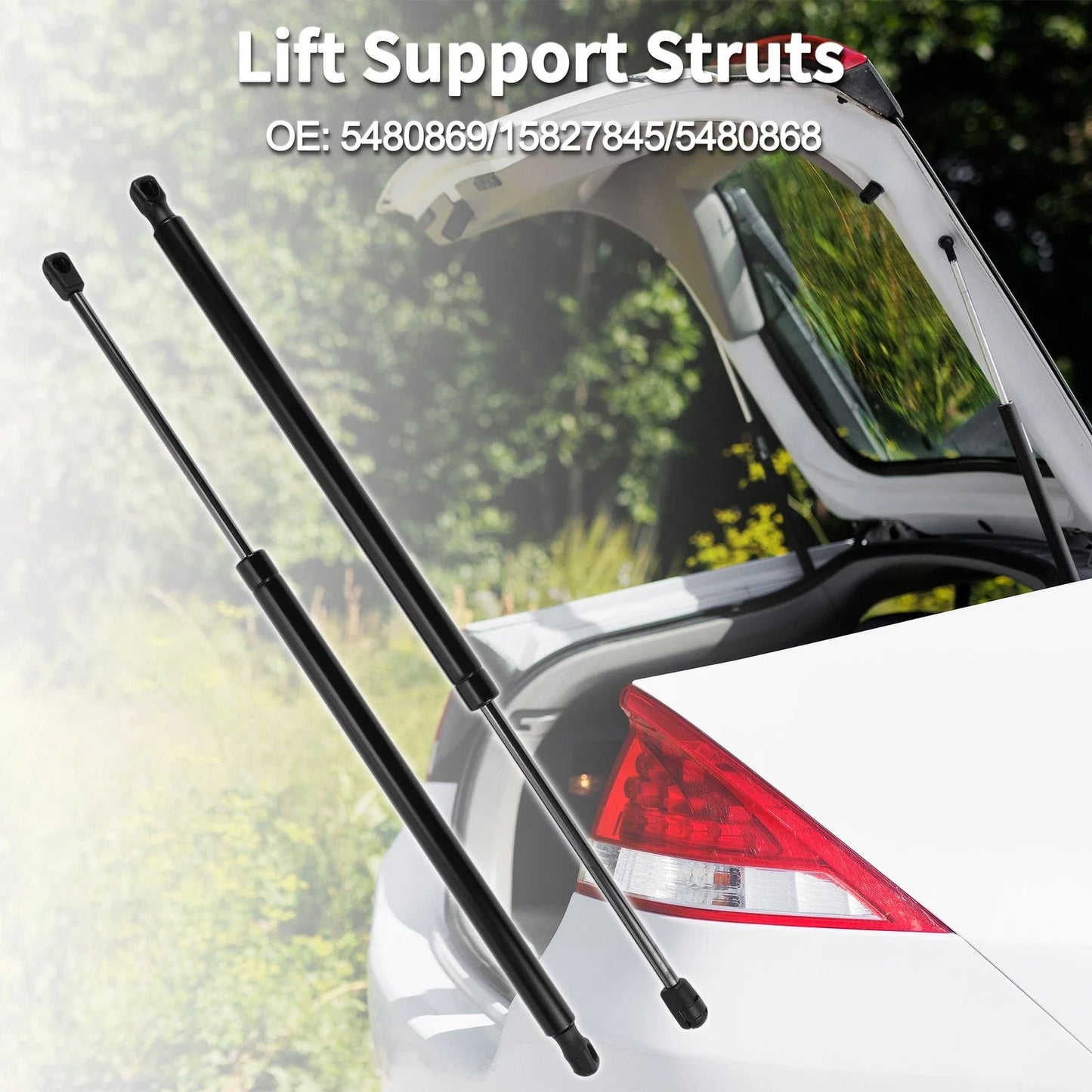 Rear Hatch Lift Supports for Chevrolet Equinox (2010-2017) - 2 x Struts