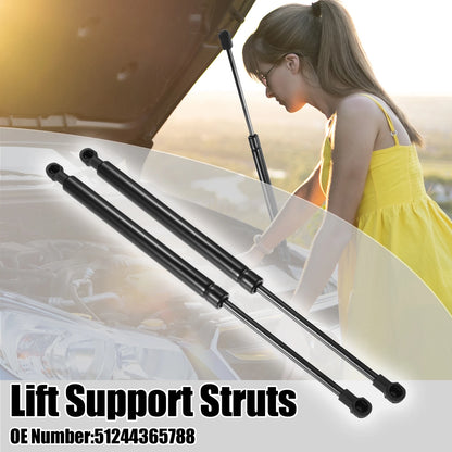 2pcs Rear Tailgate Lift Support Gas Struts for BMW 325i (2006)