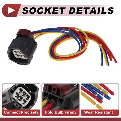 Taillight Socket Wiring Harness for Dodge Nitro (2007–2011) No. 55157150AG