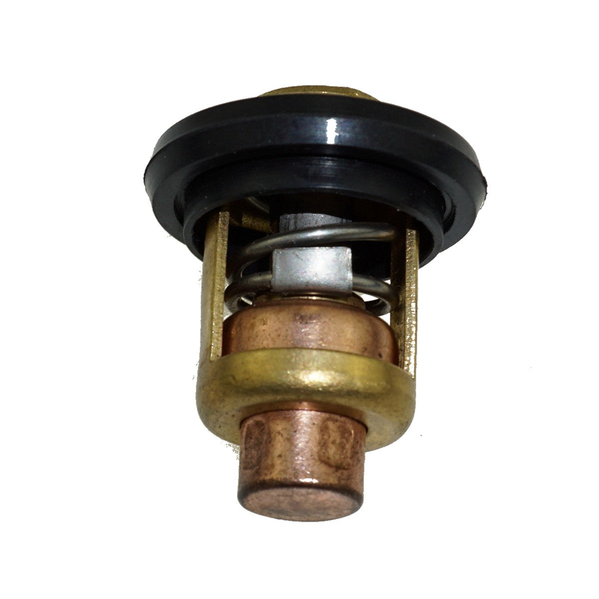 Thermostat for Yamaha Engine Boat
