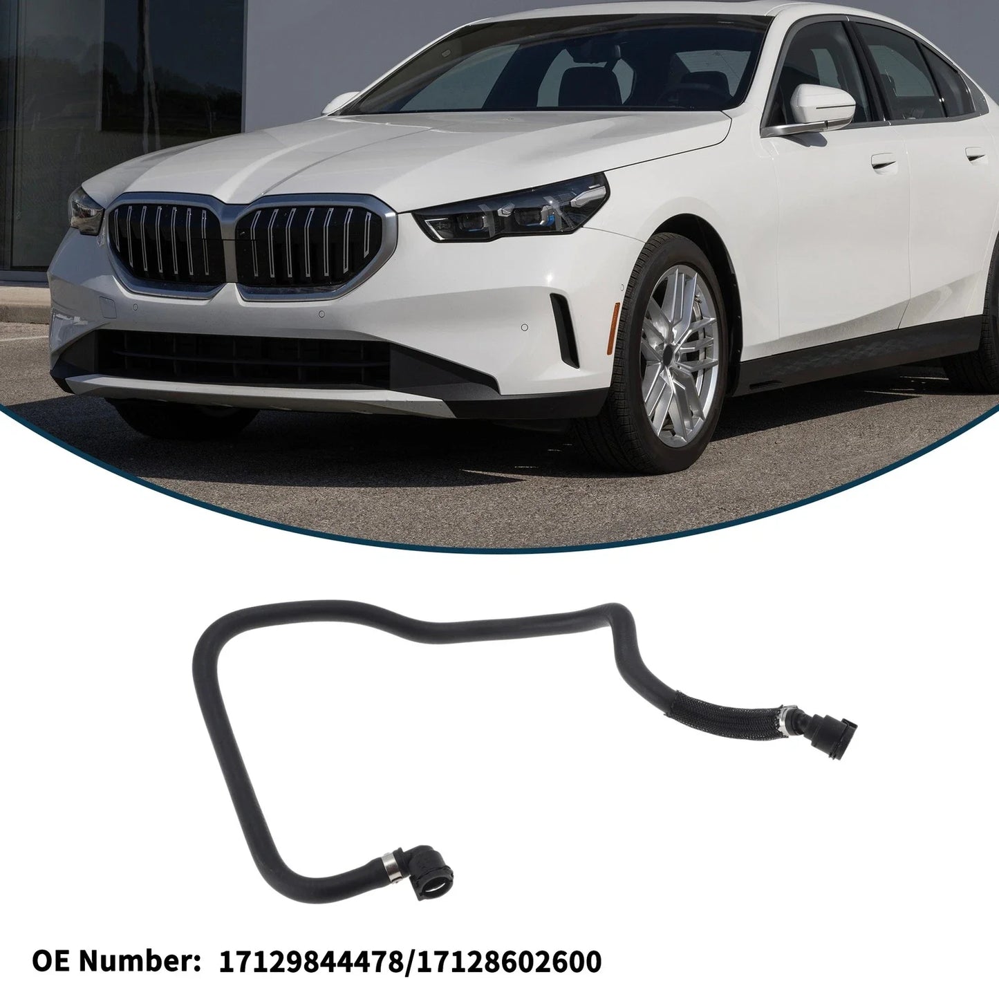 Radiator Hose for BMW 530e (2018 - 2020) 2.0L L4