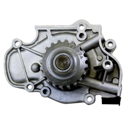 Engine Timing Belt and Tensioner