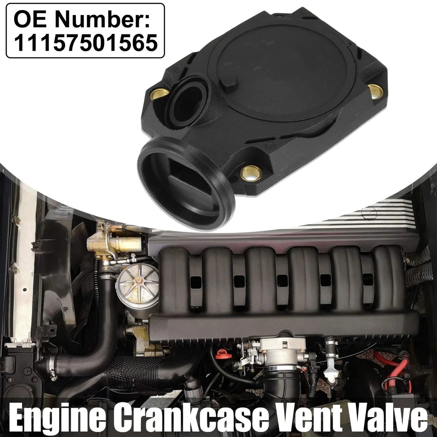 Crankcase Vent Valve for BMW 750iL 850Ci (1995 - 2001)