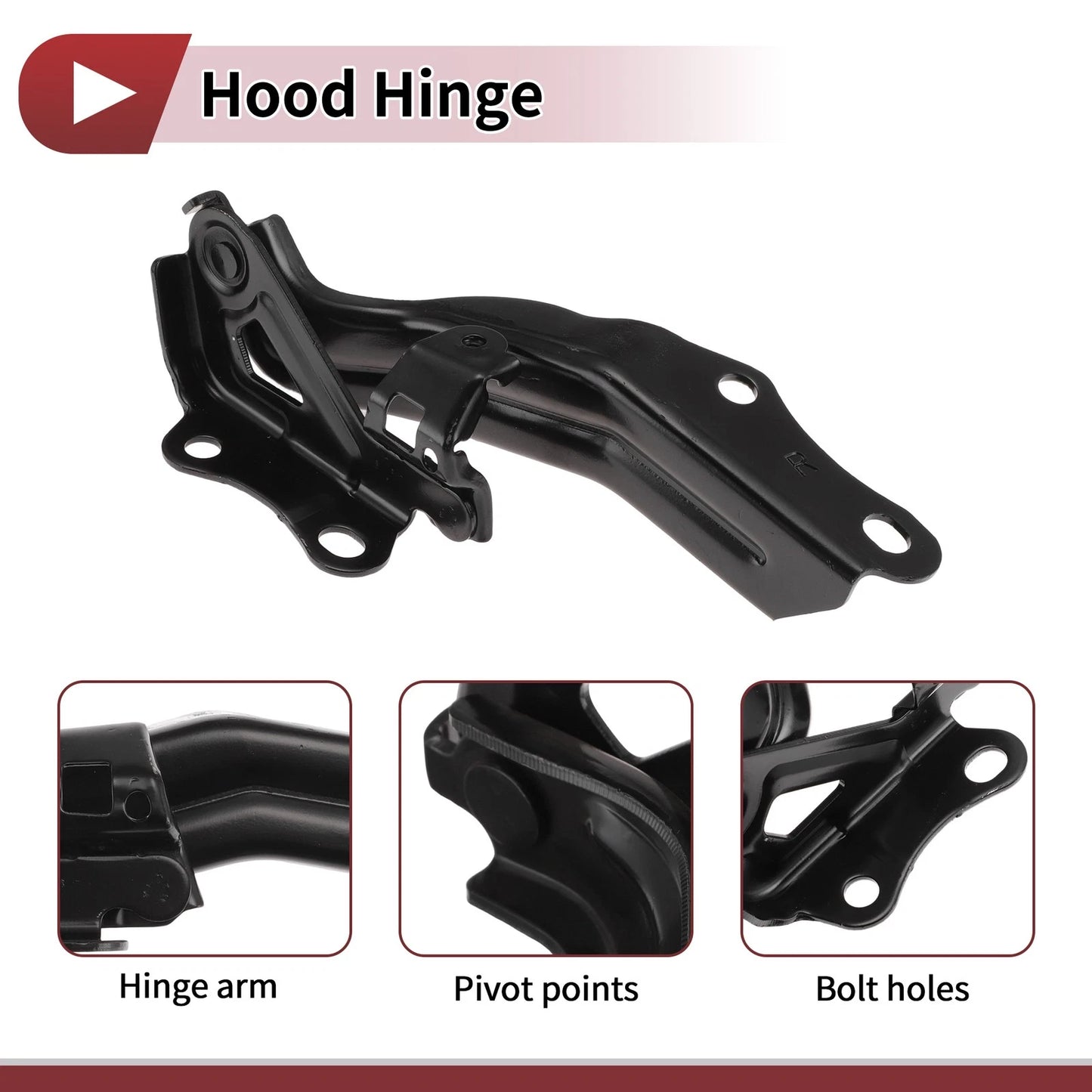 Hood Hinge for Toyota Avalon (2018–2024) Right Side, 1 pcs