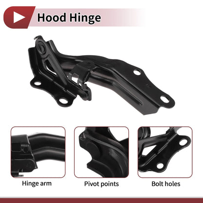 Hood Hinge for Toyota Avalon (2018–2024) Right Side, 1 pcs