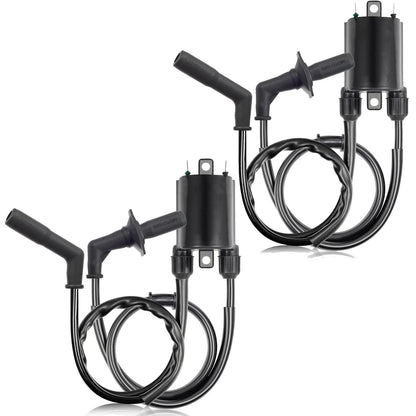 2 x Sets Ignition Coils for Honda VT1100 Shadow (1987–2000)