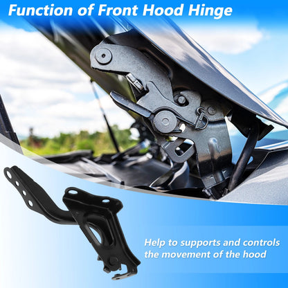 Front Hood Hinge for Toyota RAV4 (2019–2023) No. 5341042140, 5342042140 LH RH