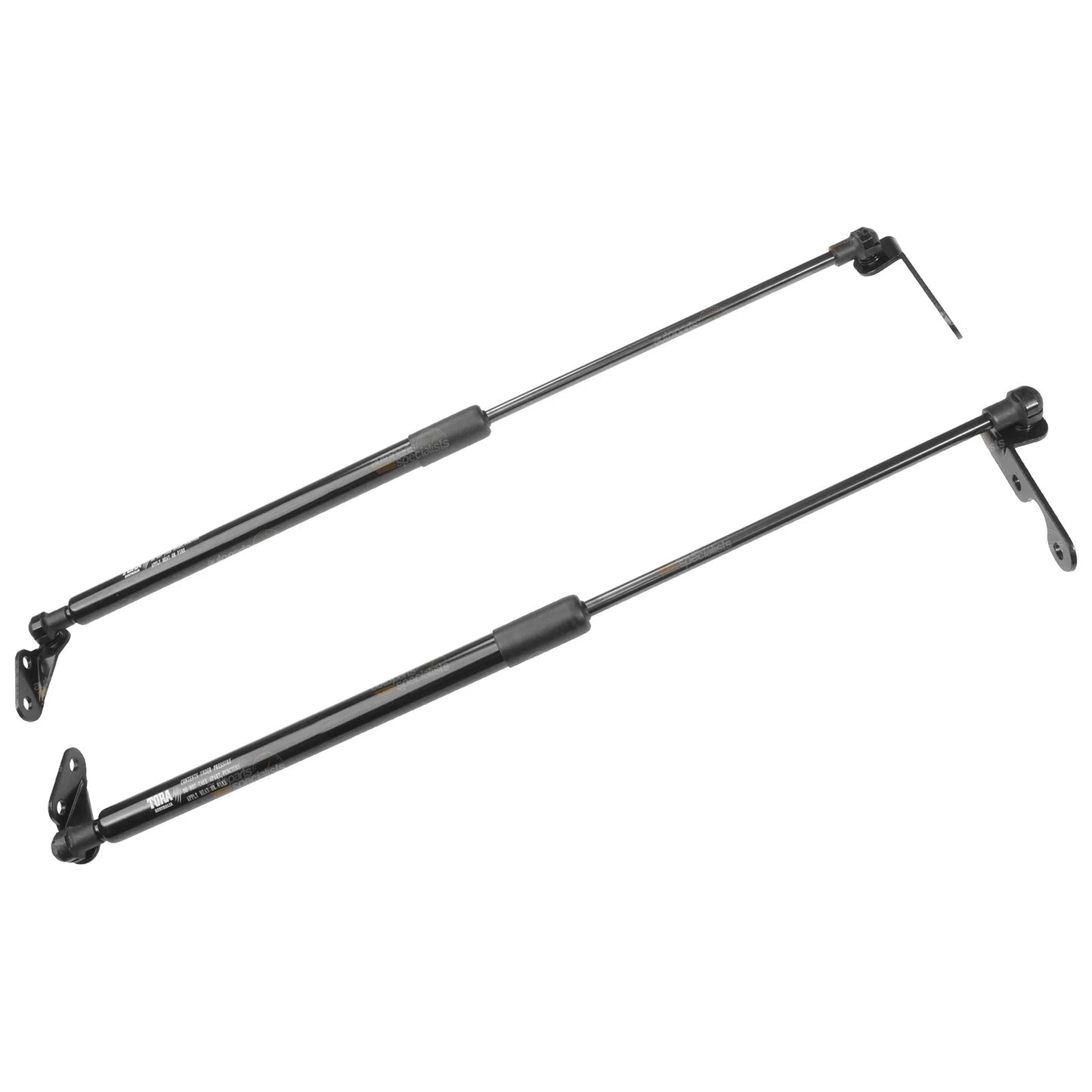 Set of 2 Hatch Gas Struts for Toyota Echo (1999–2005)