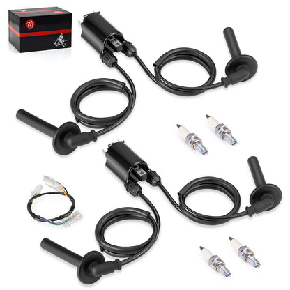 2X Ignition Coil & Spark Plug Set for Honda ST1100 (1991–2003)