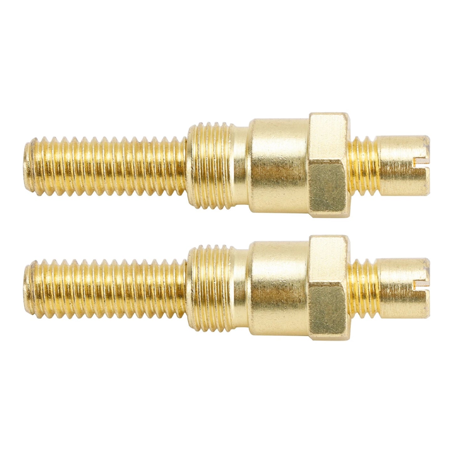 Pair of motorcycle license plate screws and nuts for custom applications