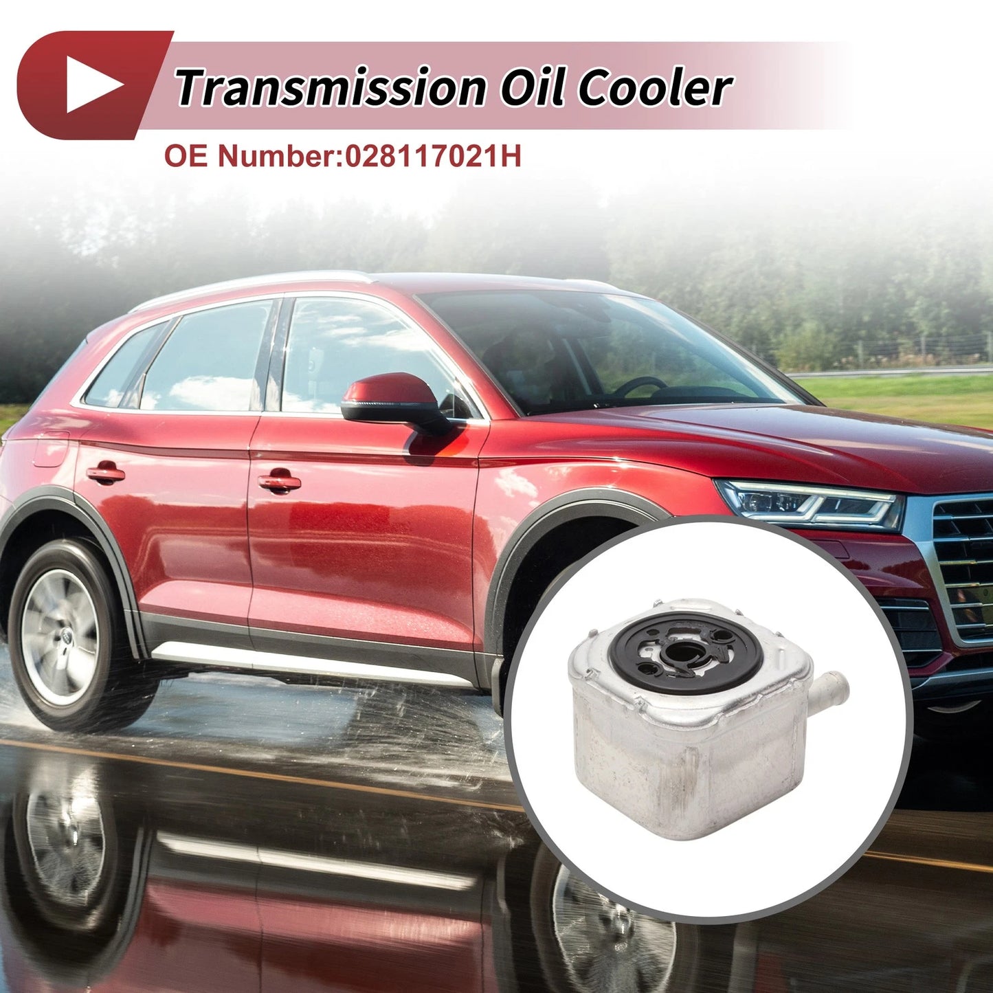 Engine Oil Cooler for Audi A4 (2002–2005) V6 3.0L No. 021117021H