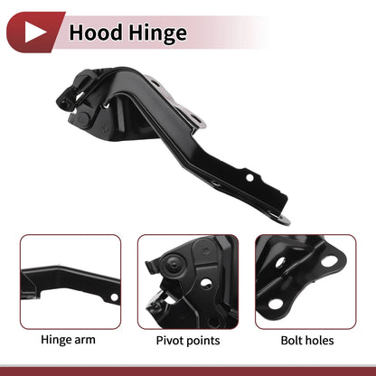Hood Hinge for Toyota Highlander (2009–2015) Right Side 1 pcs