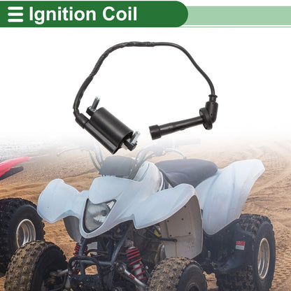 Ignition Coil for Suzuki Volty 250 (1995–2000)