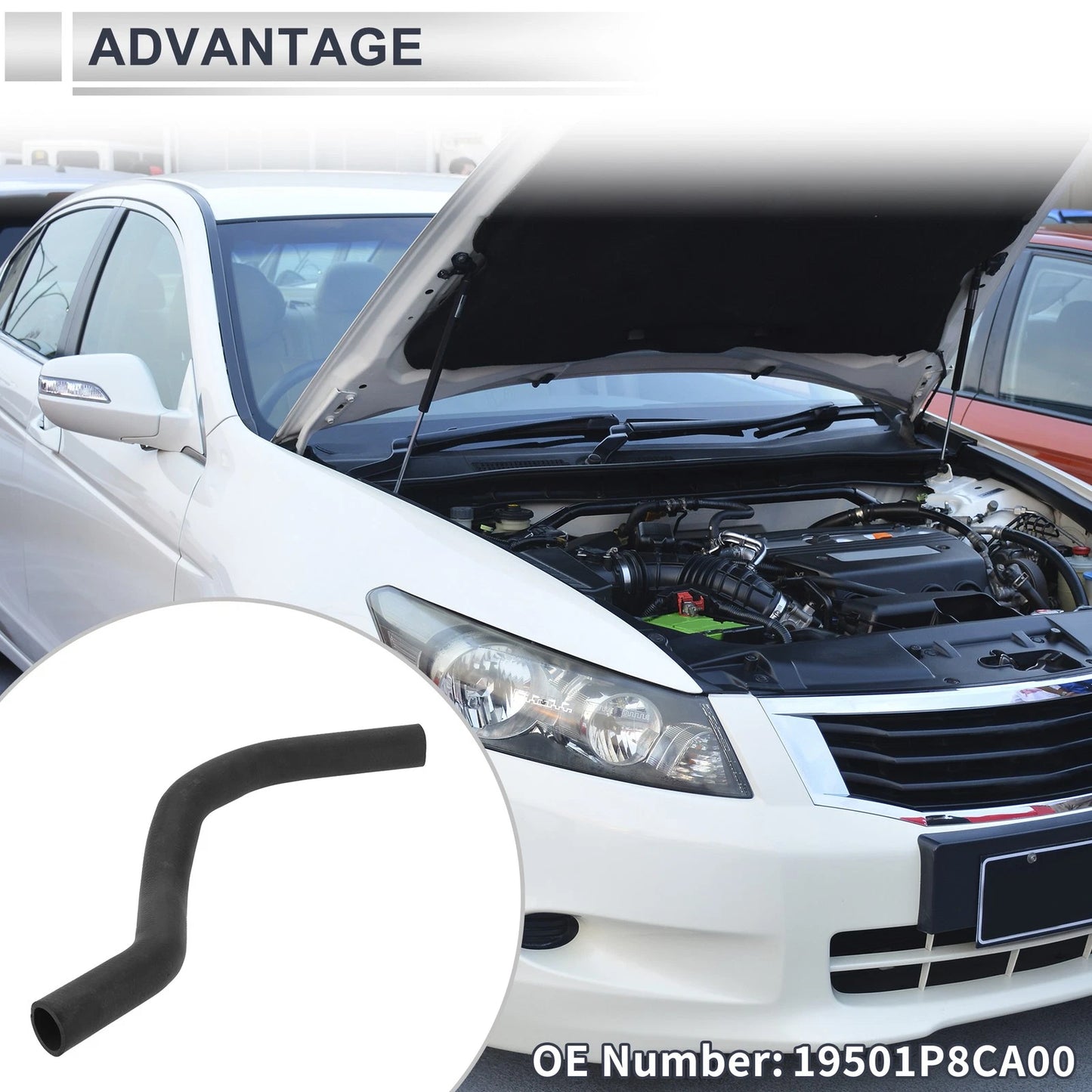 Radiator Coolant Hose for Honda Accord Acura TL (1998–2002) No. 19501P8CA00