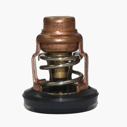 Thermostat for Honda Outboard Motor BF50 BF75 BF90 BF115 BF130 (1990–2023)