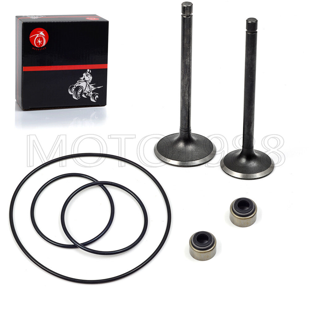 Intake Valve for Yamaha Kodiak 400 (1993–2001)
