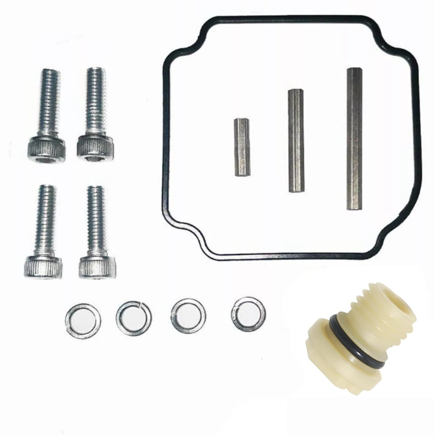 Screw Kit Plug Assembly for Mercury Outboard (22-813435)
