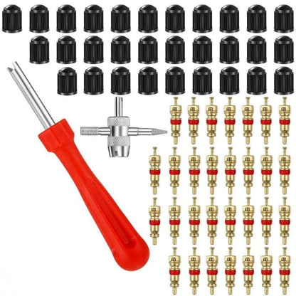 62pcs Tire Valve Core Tool Set for Auto Truck Motorcycle