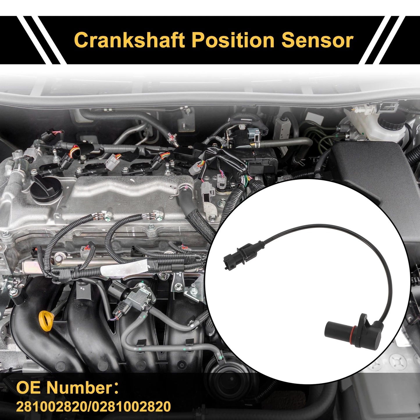 1 Pc Crankshaft Position Sensor for Ford Ranger 2.5 (2006-2011)