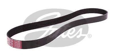 Drive Belt