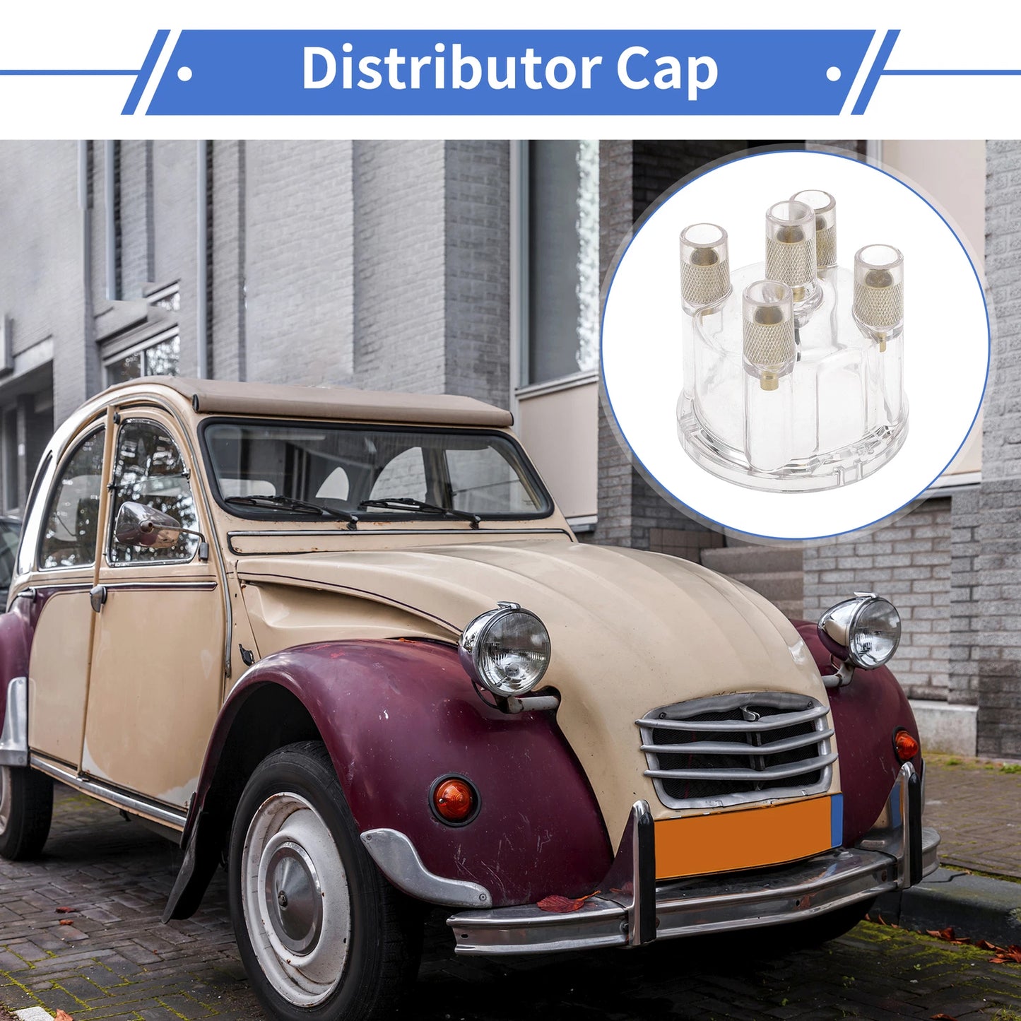 Distributor Cap for VW Bus Ghia Buggy (1968–1979)