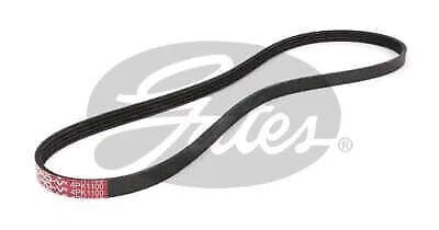 Drive Belt
